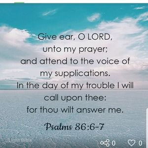 Meet your Posher, Steve